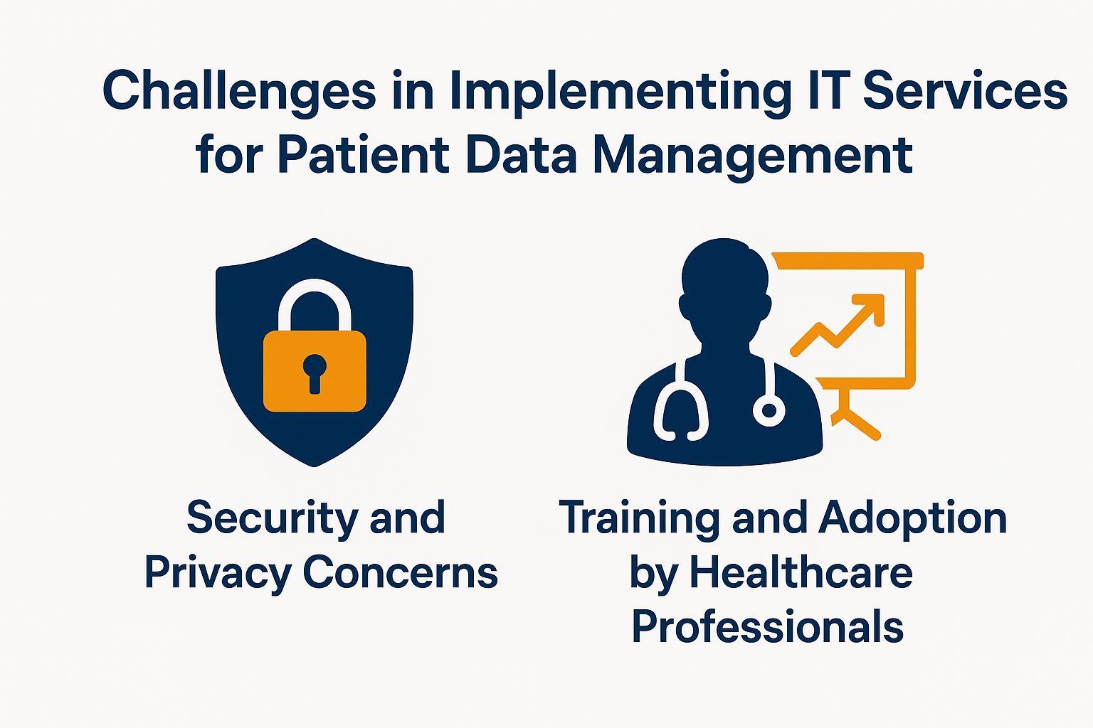 Challenges in Implementing IT Services for Patient Data Management