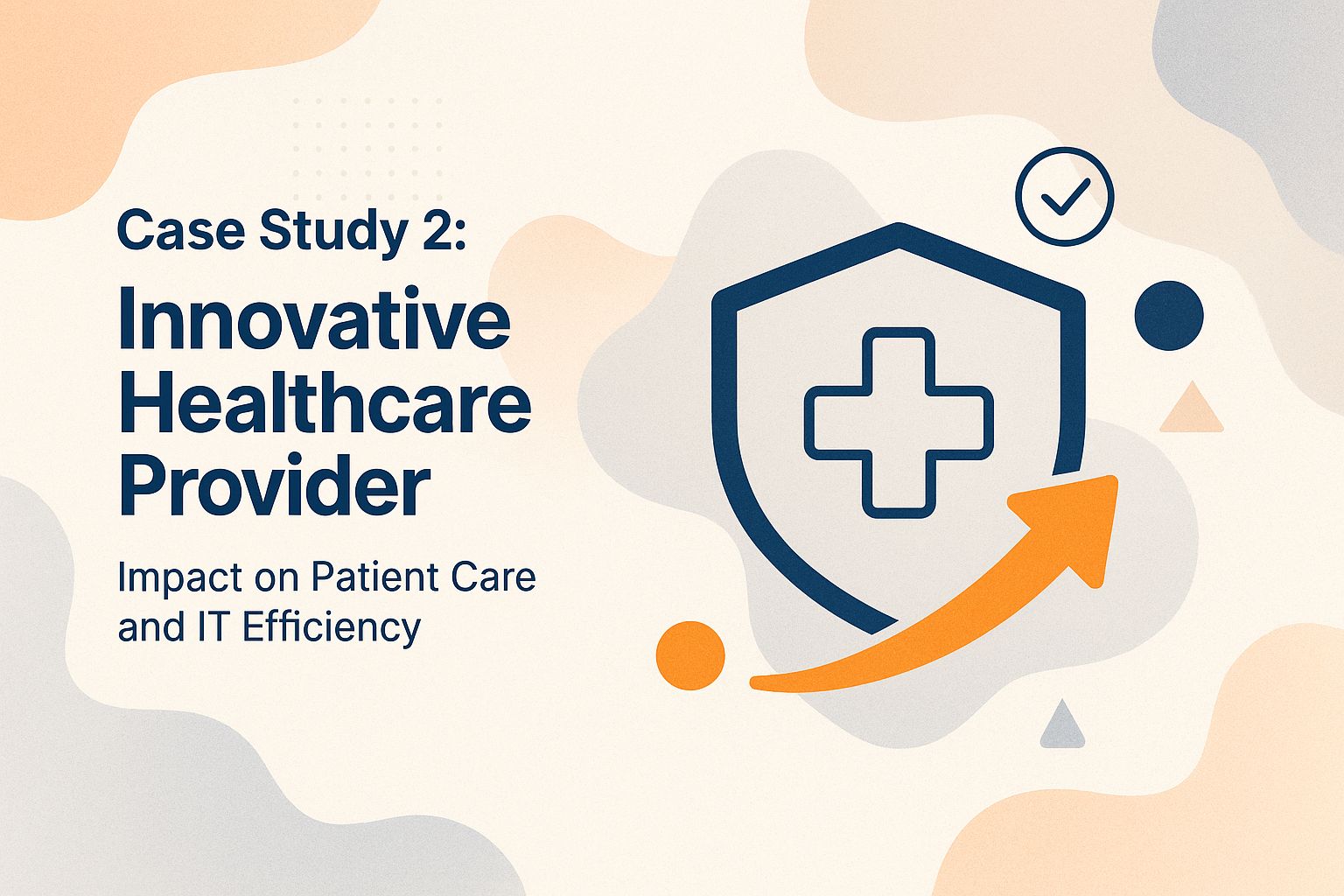 Case Study 2: Innovative Healthcare Provider